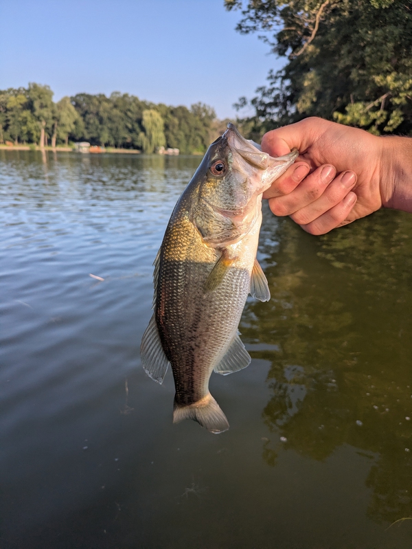 A photo of Jacob Malloy's catch