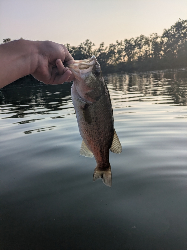 A photo of Jacob Malloy's catch