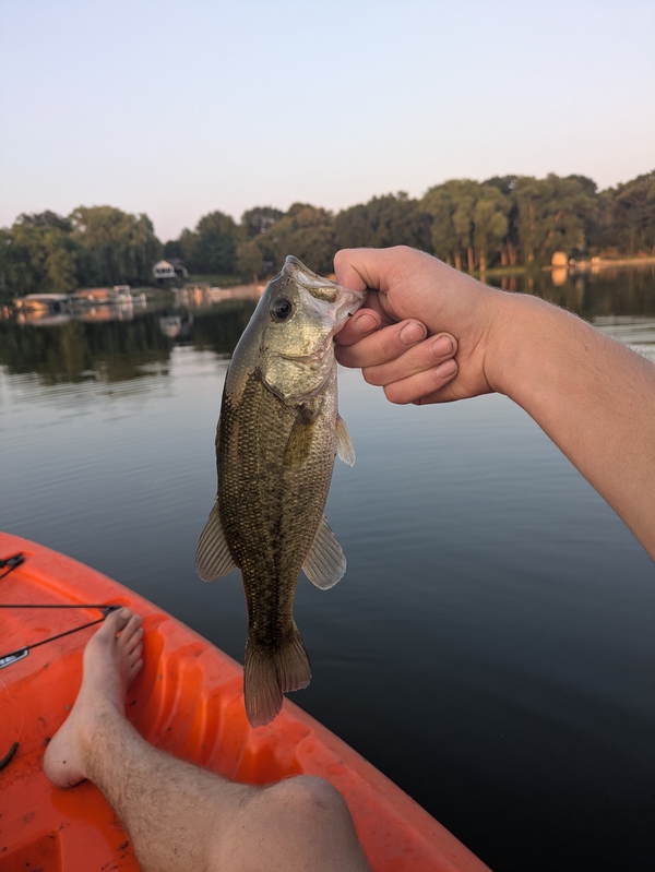 A photo of Jacob Malloy's catch