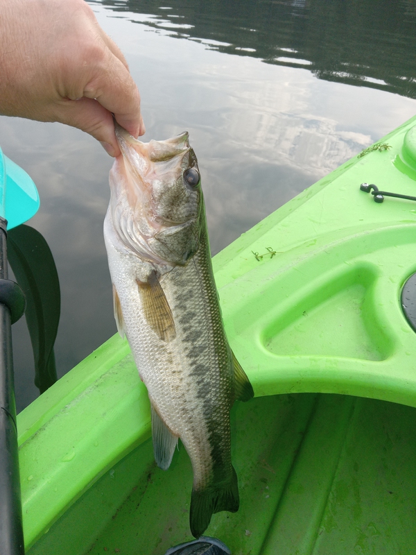 A photo of Bill Fenstermaker's catch