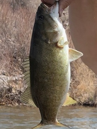 A photo of Matt Johnson's catch