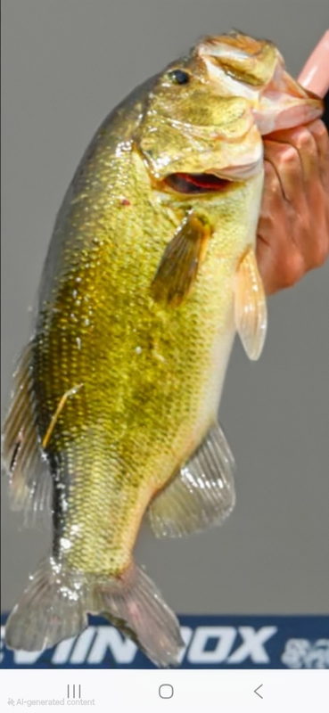 A photo of Matt Johnson's catch