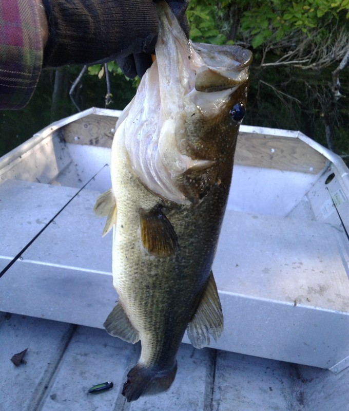 A photo of Richard Wynne's catch