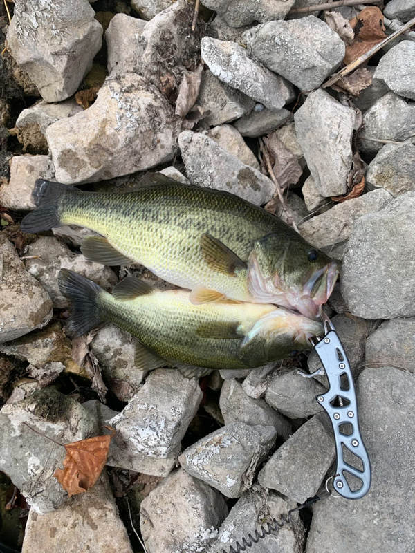 A photo of Mina  Grace's catch