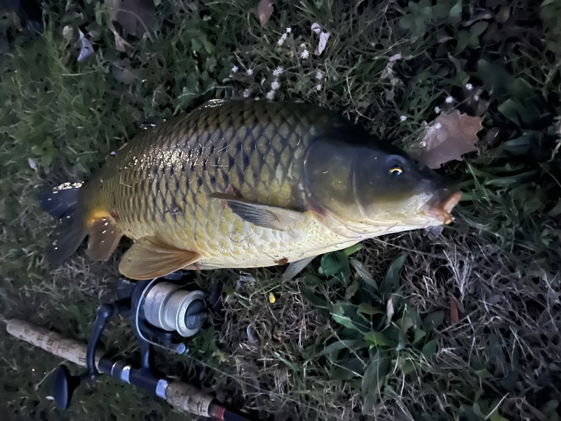 A photo of George Horvath's catch