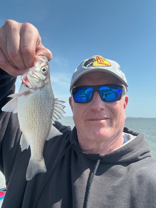 Fishidy
