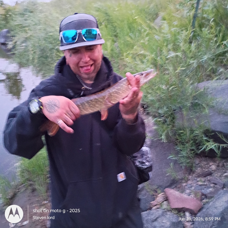 Fishidy