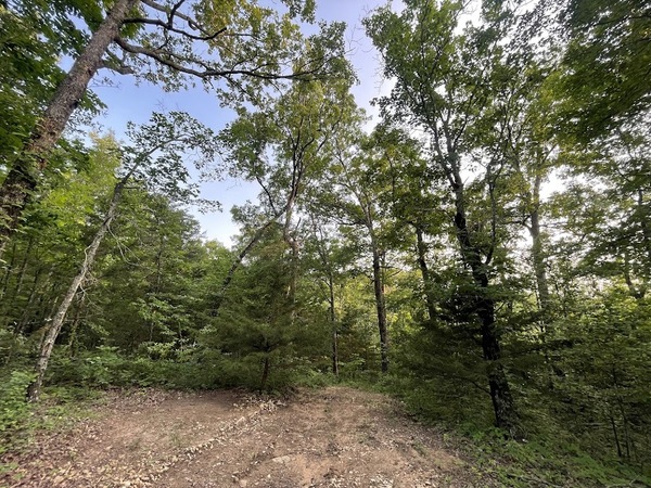 12812 Parker Branch Road