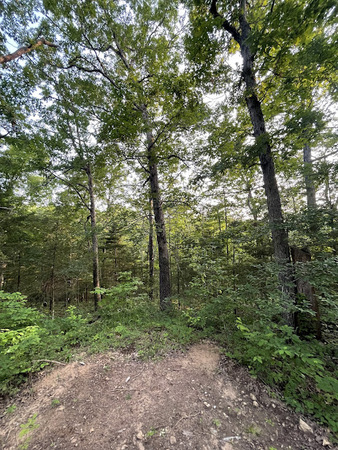 12812 Parker Branch Road