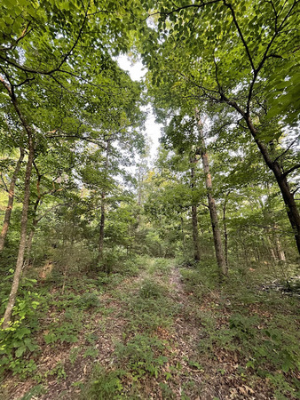 12812 Parker Branch Road