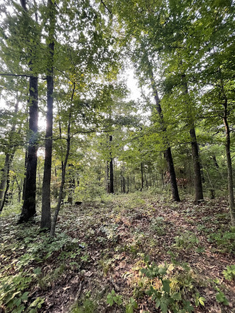 12812 Parker Branch Road