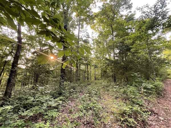 12812 Parker Branch Road