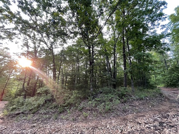 12812 Parker Branch Road