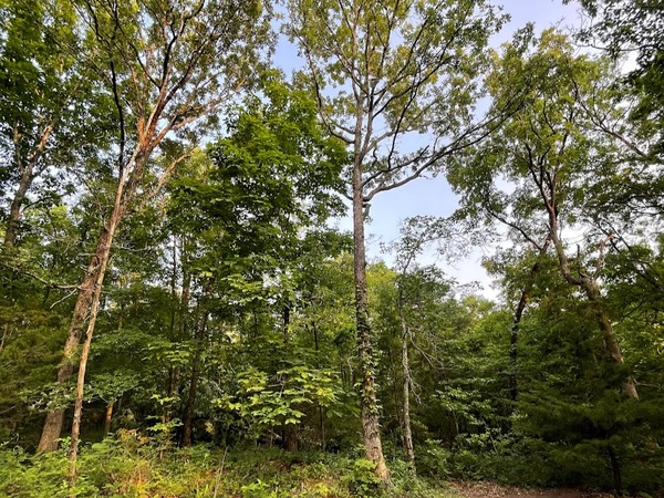 12812 Parker Branch Road