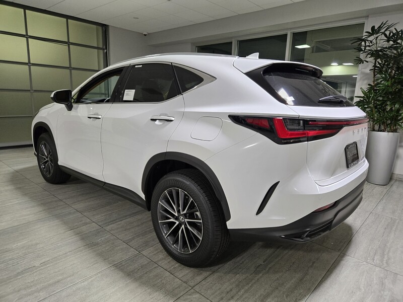 2026 Lexus NX 350 photo 3
