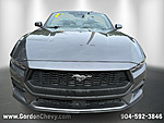Used 2024 FORD MUSTANG ECOBOOST PREMIUM CONVERTIBLE in ORANGE PARK, FLORIDA (Photo 9)
