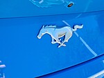Used 2024 FORD MUSTANG ECOBOOST FASTBACK in ORANGE PARK, FLORIDA (Photo 16)