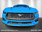 Used 2024 FORD MUSTANG ECOBOOST FASTBACK in ORANGE PARK, FLORIDA (Photo 9)