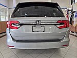Used 2024 Honda Odyssey EX-L AUTO in JACKSONVILLE, FLORIDA (Photo 5)