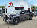 Used 2024 TOYOTA TUNDRA PLATINUM in JACKSONVILLE, FLORIDA (Photo 1)