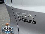 Used 2024 Honda CR-V EX-L in JACKSONVILLE, FLORIDA (Photo 8)