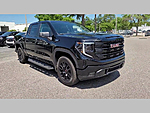 New 2025 GMC SIERRA 1500 PRO in JACKSONVILLE, FLORIDA (Photo 30)