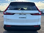 New 2026 Honda CR-V EX in JACKSONVILLE, FLORIDA (Photo 6)