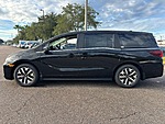 New 2026 Honda Odyssey EX-L in JACKSONVILLE, FLORIDA (Photo 4)