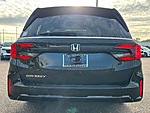 New 2026 Honda Odyssey EX-L in JACKSONVILLE, FLORIDA (Photo 6)