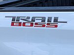 Used 2020 CHEVROLET SILVERADO 1500 CUSTOM TRAIL BOSS in JACKSONVILLE, FLORIDA (Photo 13)