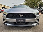 Used 2023 FORD MUSTANG ECOBOOST FASTBACK in JACKSONVILLE, FLORIDA (Photo 9)