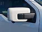 New 2025 FORD F-150 PLATINUM in JACKSONVILLE, FLORIDA (Photo 11)