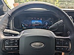 New 2025 FORD F-250 PLATINUM in JACKSONVILLE, FLORIDA (Photo 30)