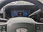 New 2025 FORD F-250 PLATINUM in JACKSONVILLE, FLORIDA (Photo 35)