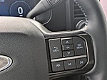 New 2025 FORD F-250 PLATINUM in JACKSONVILLE, FLORIDA (Photo 32)