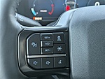 New 2026 FORD F-250 PLATINUM in JACKSONVILLE, FLORIDA (Photo 32)