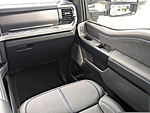 New 2026 FORD F-250 PLATINUM in JACKSONVILLE, FLORIDA (Photo 18)