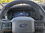 New 2025 FORD F-150 PLATINUM in JACKSONVILLE, FLORIDA (Photo 34)