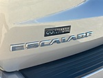 Used 2024 CADILLAC ESCALADE PREMIUM LUXURY PLATINUM in JACKSONVILLE, FLORIDA (Photo 18)