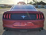 Used 2021 FORD MUSTANG ECOBOOST PREMIUM FASTBACK in LAKE WORTH, FLORIDA (Photo 8)
