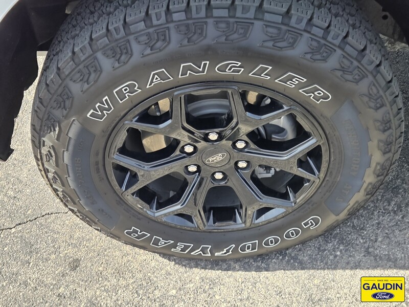 Used 2024 Ford Expedition Timberline