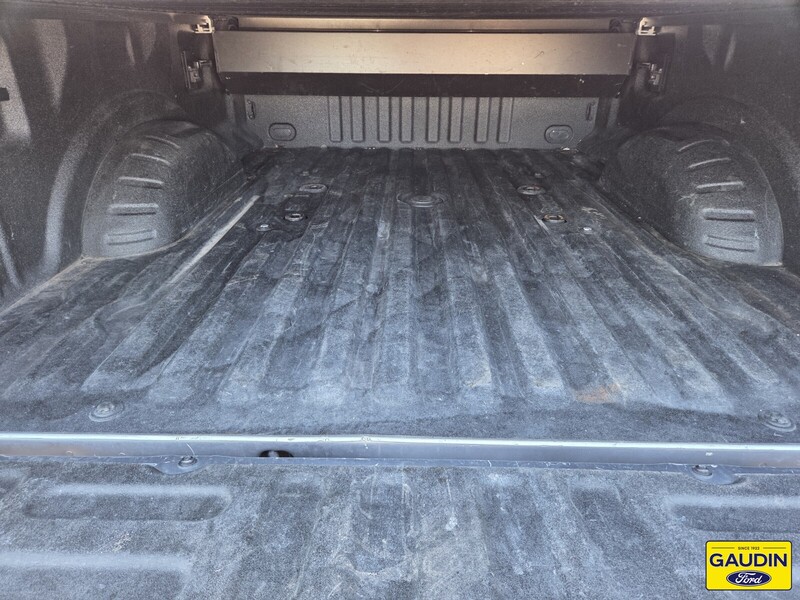 Used 2020 Ford Super Duty F-250 Platinum 4D Crew Cab