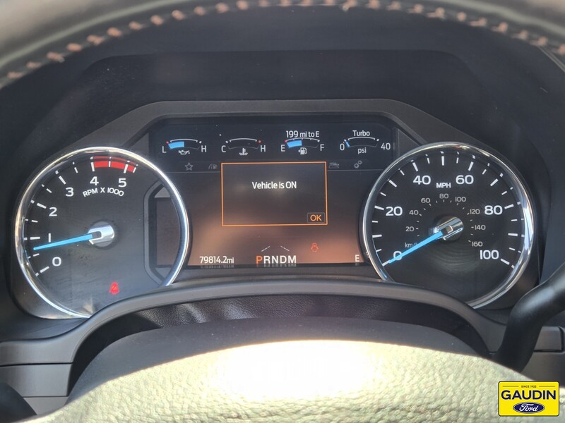 Used 2020 Ford Super Duty F-250 Platinum 4D Crew Cab