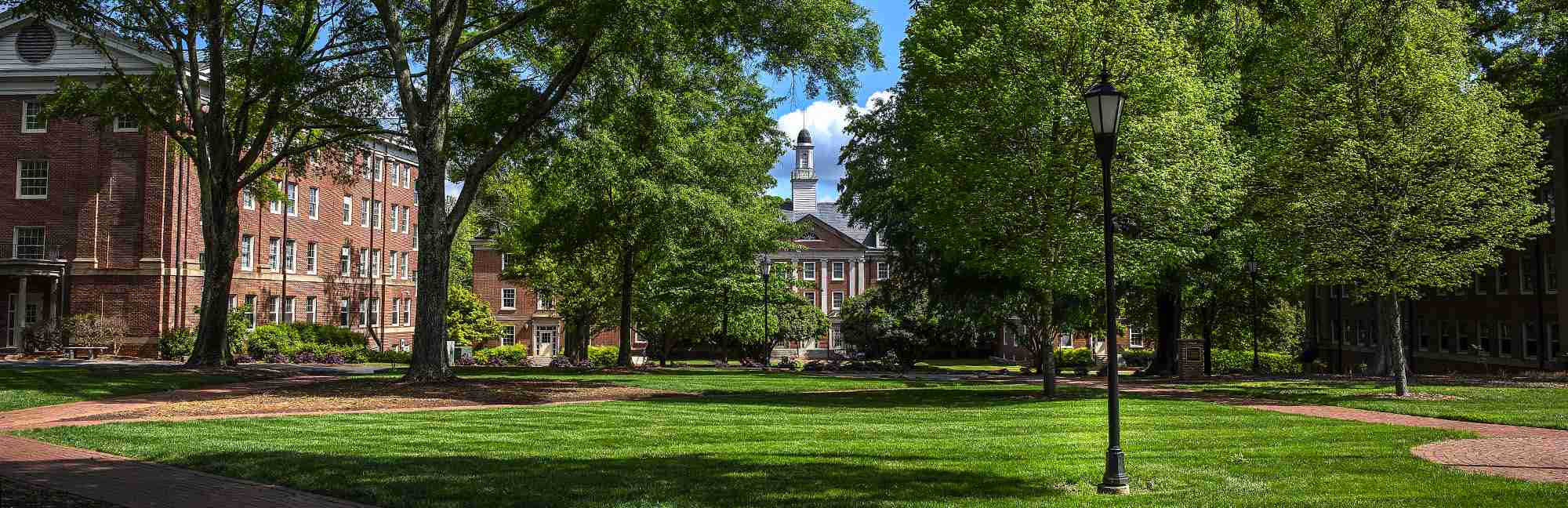Davidson College Niche