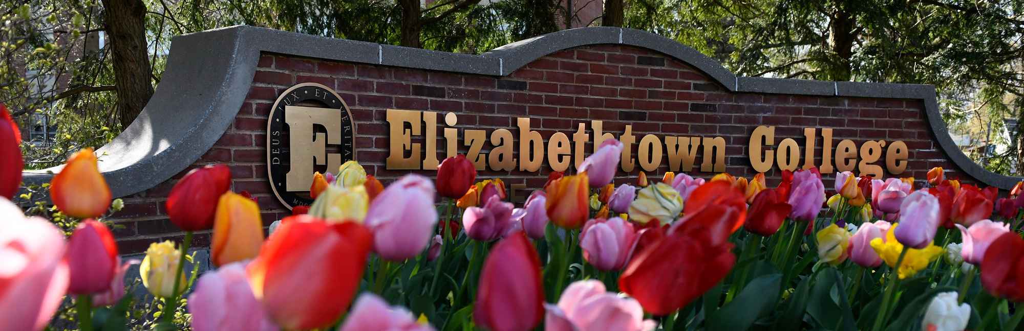 Elizabethtown College Niche