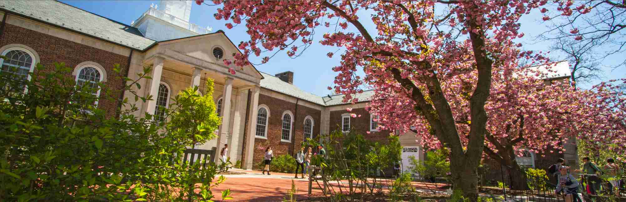 Drew University Niche