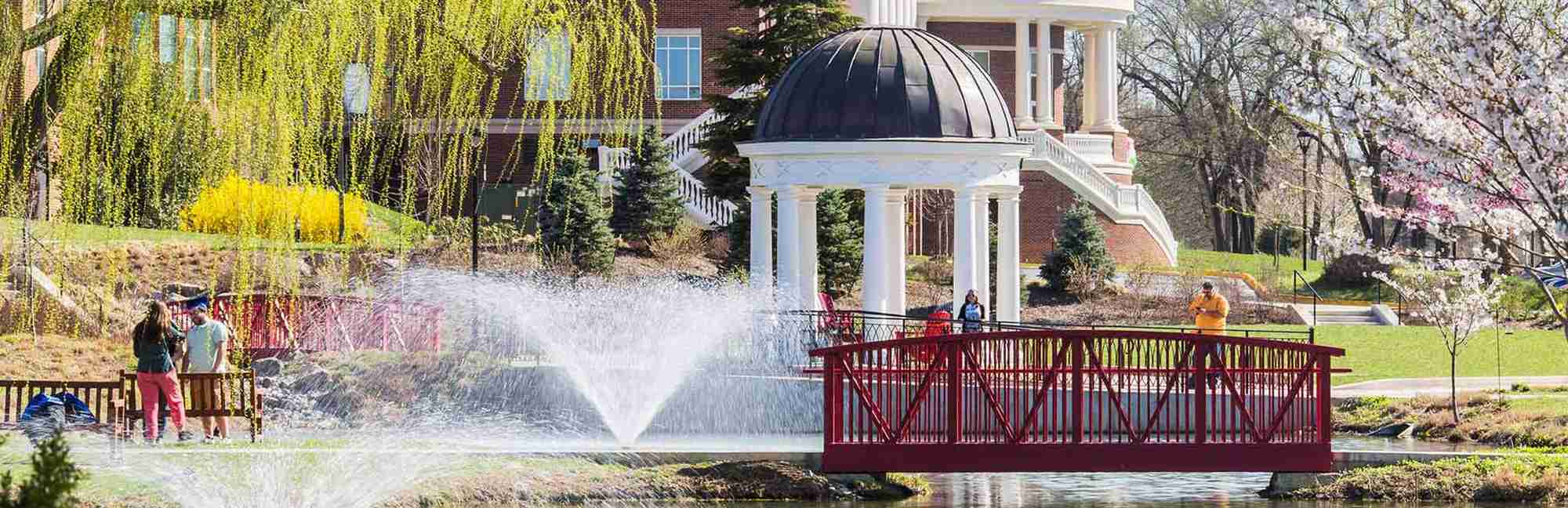 Shenandoah University Niche