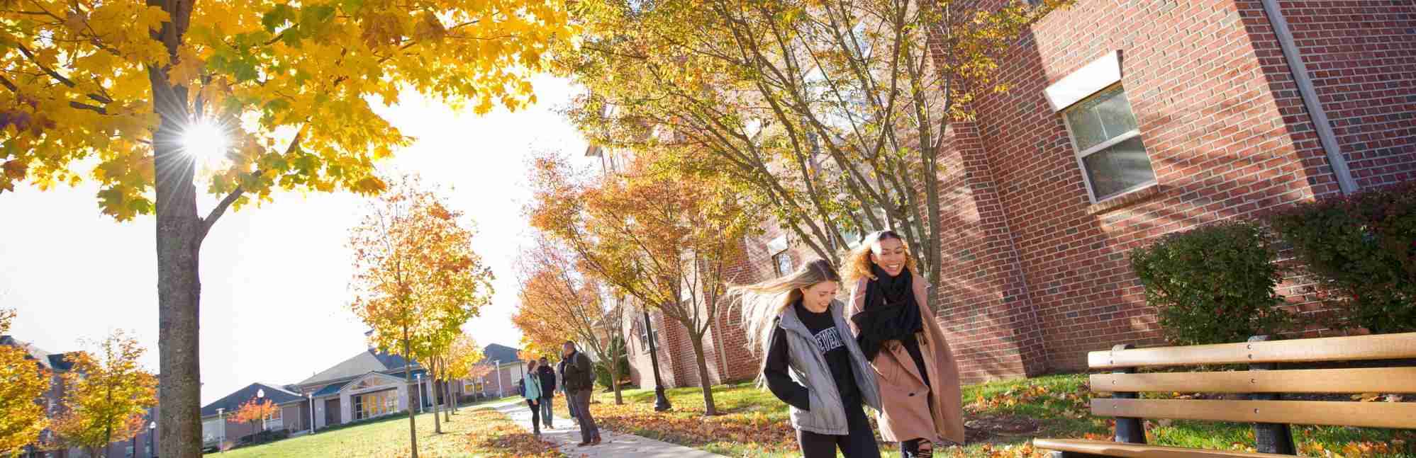 Stevenson University Niche