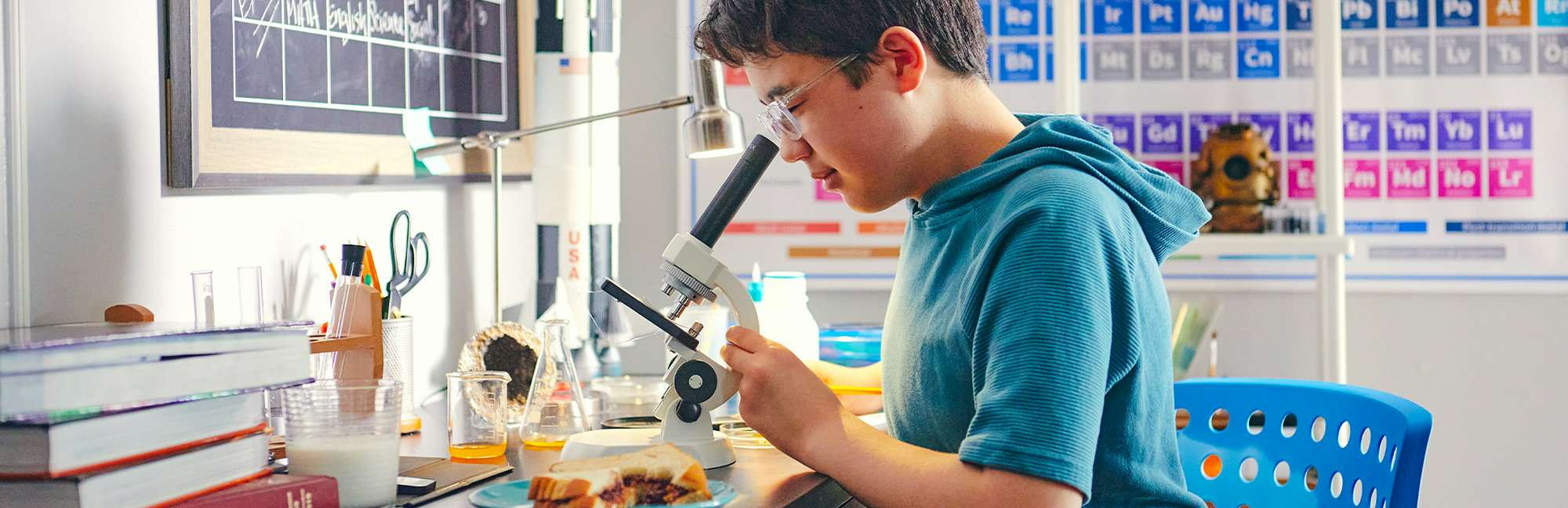 South Carolina Virtual Charter School in , SC Niche