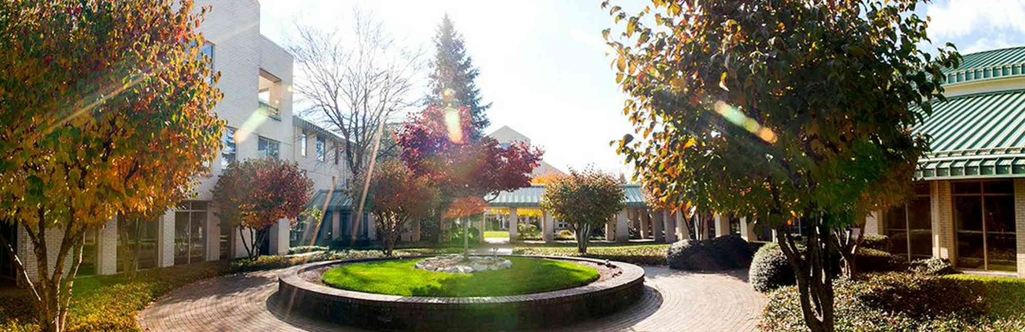 EF Academy New York in NY Niche